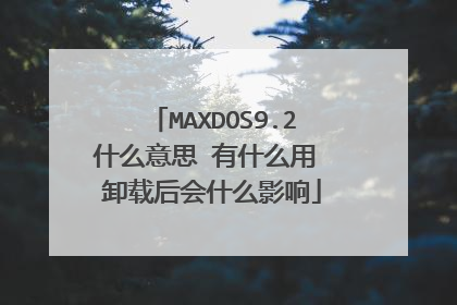 MAXDOS9.2什么意思 有什么用 卸载后会什么影响