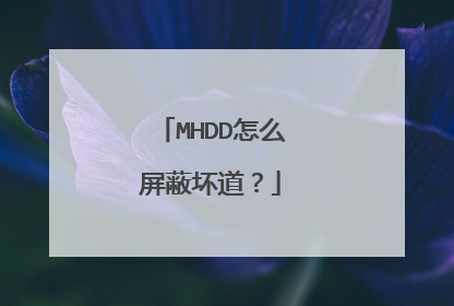 MHDD怎么屏蔽坏道?