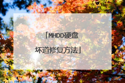MHDD硬盘坏道修复方法
