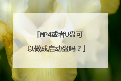 MP4或者U盘可以做成启动盘吗?