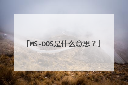 MS-DOS是什么意思?