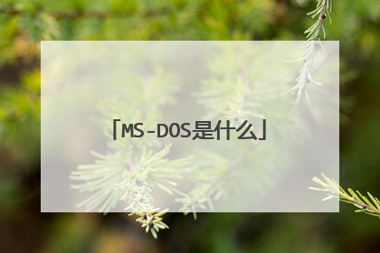 MS-DOS是什么