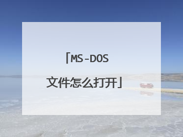 MS-DOS 文件怎么打开