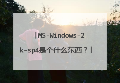 MS-Windows-2k-sp4是个什么东西?