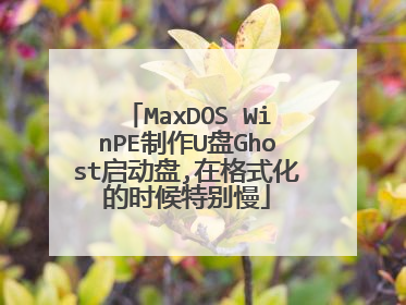 MaxDOS WinPE制作U盘Ghost启动盘,在格式化的时候特别慢