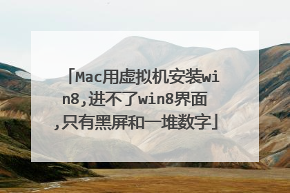 Mac用虚拟机安装win8,进不了win8界面,只有黑屏和一堆数字