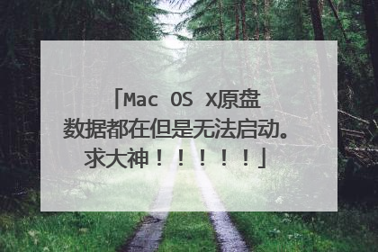 Mac OS X原盘数据都在但是无法启动。求大神!!!!!