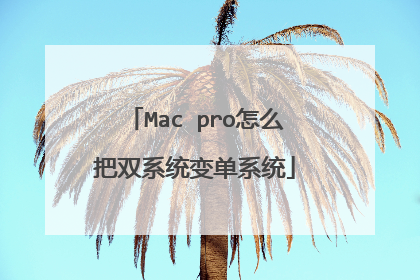 Mac pro怎么把双系统变单系统
