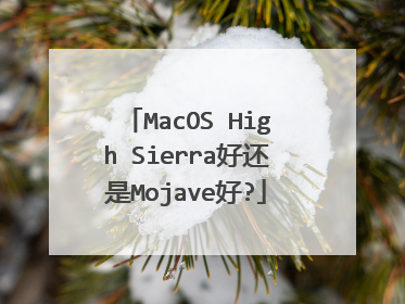 MacOS High Sierra好还是Mojave好?