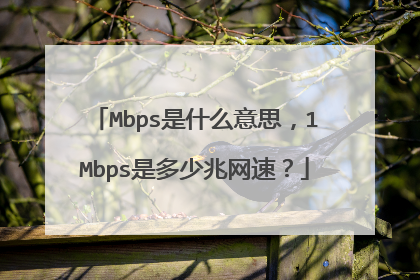 Mbps是什么意思,1Mbps是多少兆网速?
