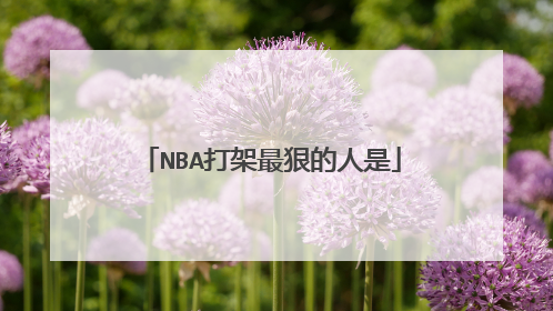 NBA打架最狠的人是