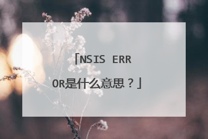 NSIS ERROR是什么意思?