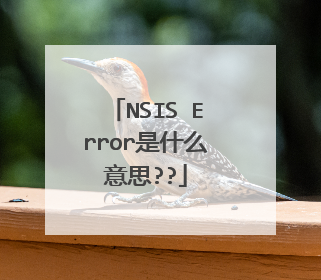 NSIS Error是什么意思??