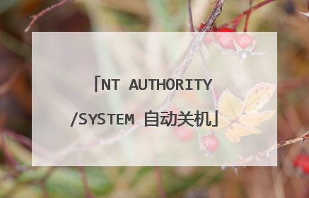 NT AUTHORITY/SYSTEM 自动关机