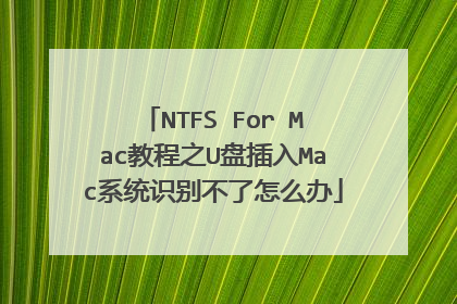 NTFS For Mac教程之U盘插入Mac系统识别不了怎么办