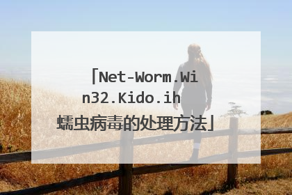 Net-Worm.Win32.Kido.ih 蠕虫病毒的处理方法