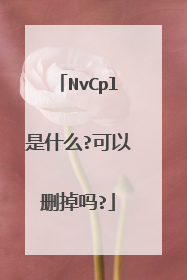 NvCpl是什么?可以删掉吗?