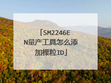 SM2246EN量产工具怎么添加棵粒ID