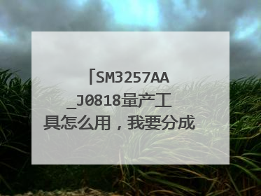 SM3257AA_J0818量产工具怎么用,我要分成USB-cdrom和普通U盘两个区怎么用,求图解。