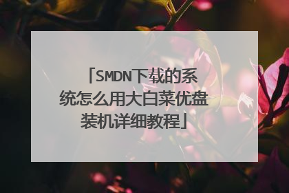 SMDN下载的系统怎么用大白菜优盘装机详细教程