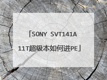 SONY SVT141A11T超级本如何进PE