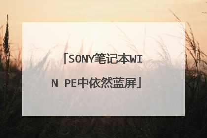 SONY笔记本WIN PE中依然蓝屏