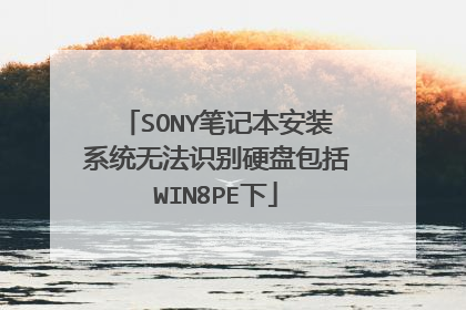 SONY笔记本安装系统无法识别硬盘包括WIN8PE下