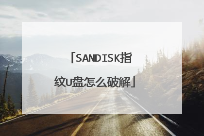 SANDISK指纹U盘怎么破解