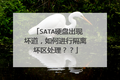 SATA硬盘出现坏道,如何进行隔离坏区处理??