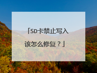 SD卡禁止写入该怎么修复?