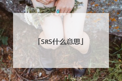 SRS什么意思