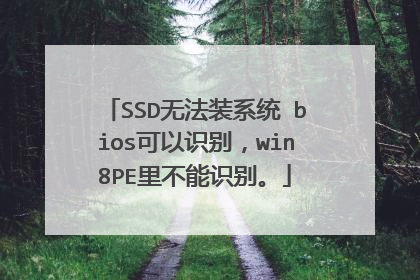 SSD无法装系统 bios可以识别，win8PE里不能识别。
