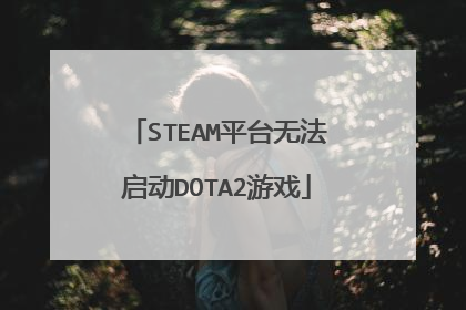 STEAM平台无法启动DOTA2游戏