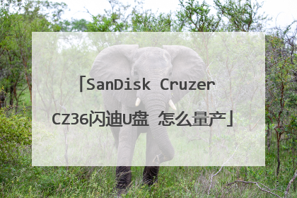 SanDisk Cruzer CZ36闪迪U盘 怎么量产