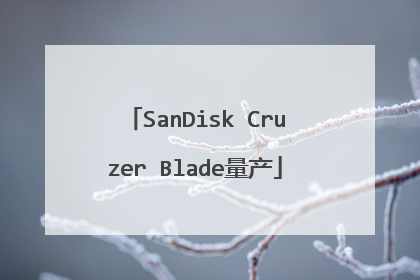 SanDisk Cruzer Blade量产