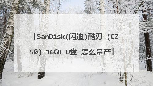 SanDisk(闪迪)酷刃 (CZ50) 16GB U盘 怎么量产