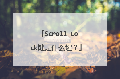 Scroll Lock键是什么键?