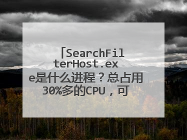 SearchFilterHost.exe是什么进程?总占用30%多的CPU,可不可以杀掉