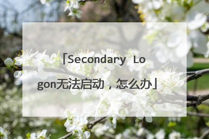Secondary Logon无法启动，怎么办