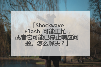 Shockwave Flash 可能正忙,或者它可能已停止响应问题。怎么解决?
