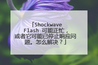 Shockwave Flash 可能正忙,或者它可能已停止响应问题。怎么解决?