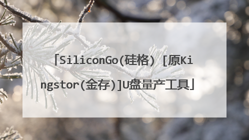SiliconGo(硅格) [原Kingstor(金存)]U盘量产工具