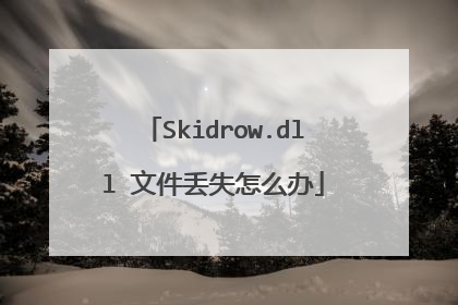 Skidrow.dll 文件丢失怎么办