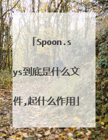 Spoon.sys到底是什么文件,起什么作用