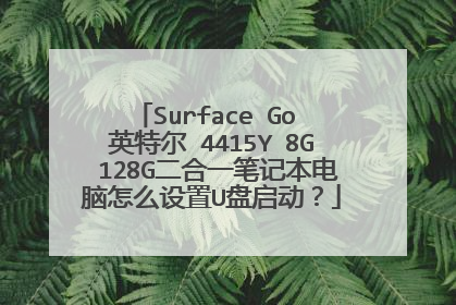Surface Go 英特尔 4415Y 8G 128G二合一笔记本电脑怎么设置U盘启动?
