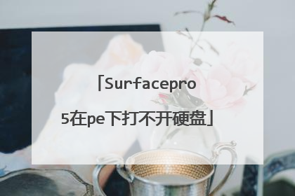 Surfacepro5在pe下打不开硬盘