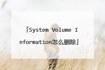 System Volume Information怎么删除