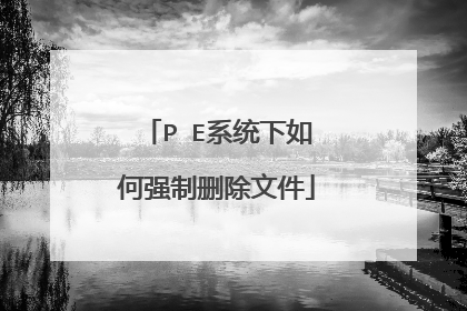 P E系统下如何强制删除文件