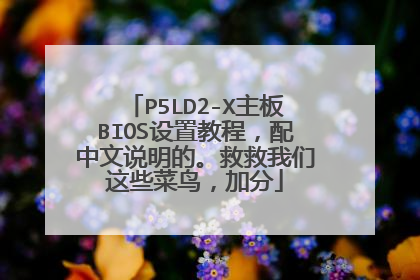 P5LD2-X主板BIOS设置教程,配中文说明的。救救我们这些菜鸟,加分