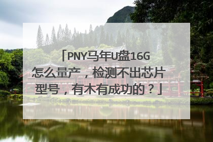 PNY马年U盘16G怎么量产,检测不出芯片型号,有木有成功的?